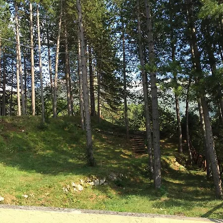 Holiday home Le Conifere Garden *